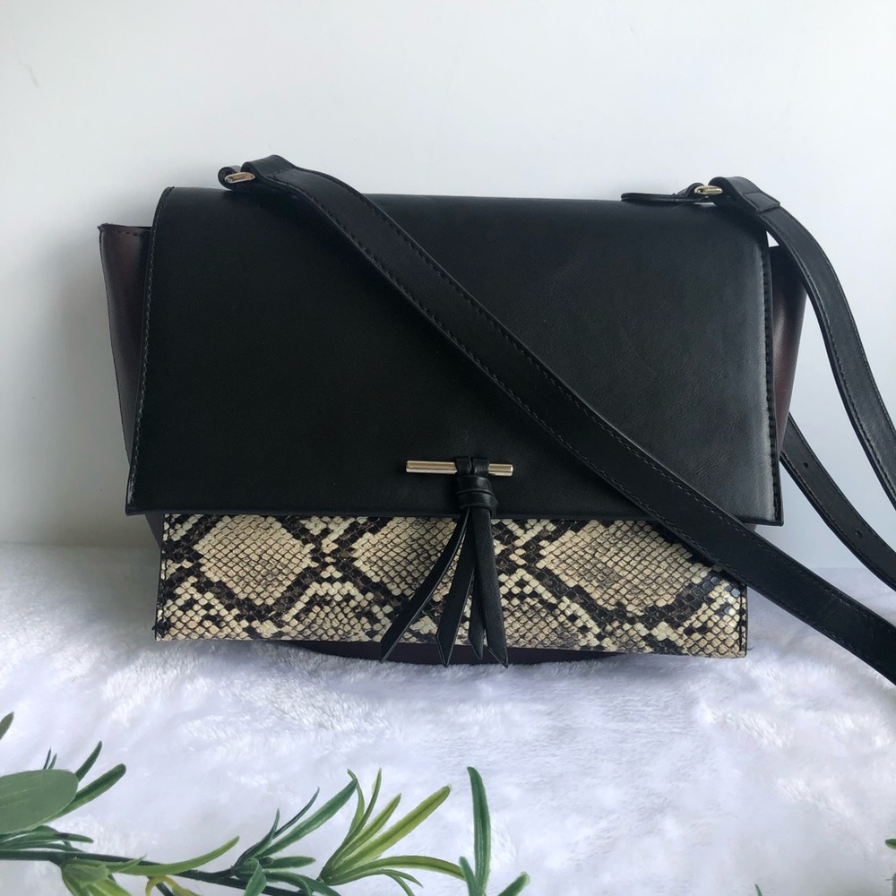 Zara Snakeskin Print Crossbody